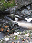 SX20859 Stone arch Conwy Falls in Fairy Glen near Betws-y-Coed, Snowdonia.jpg